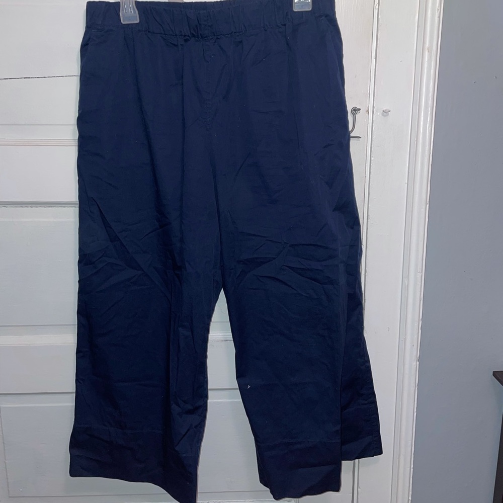 Ever lane Navy Pant
